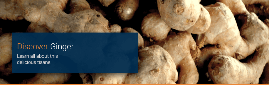 Ginger